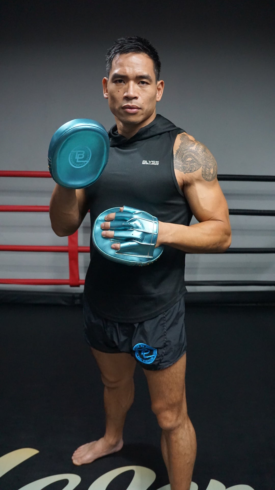 BLYSS Performance Gear Boxing Mitts PRO Metallic Blue