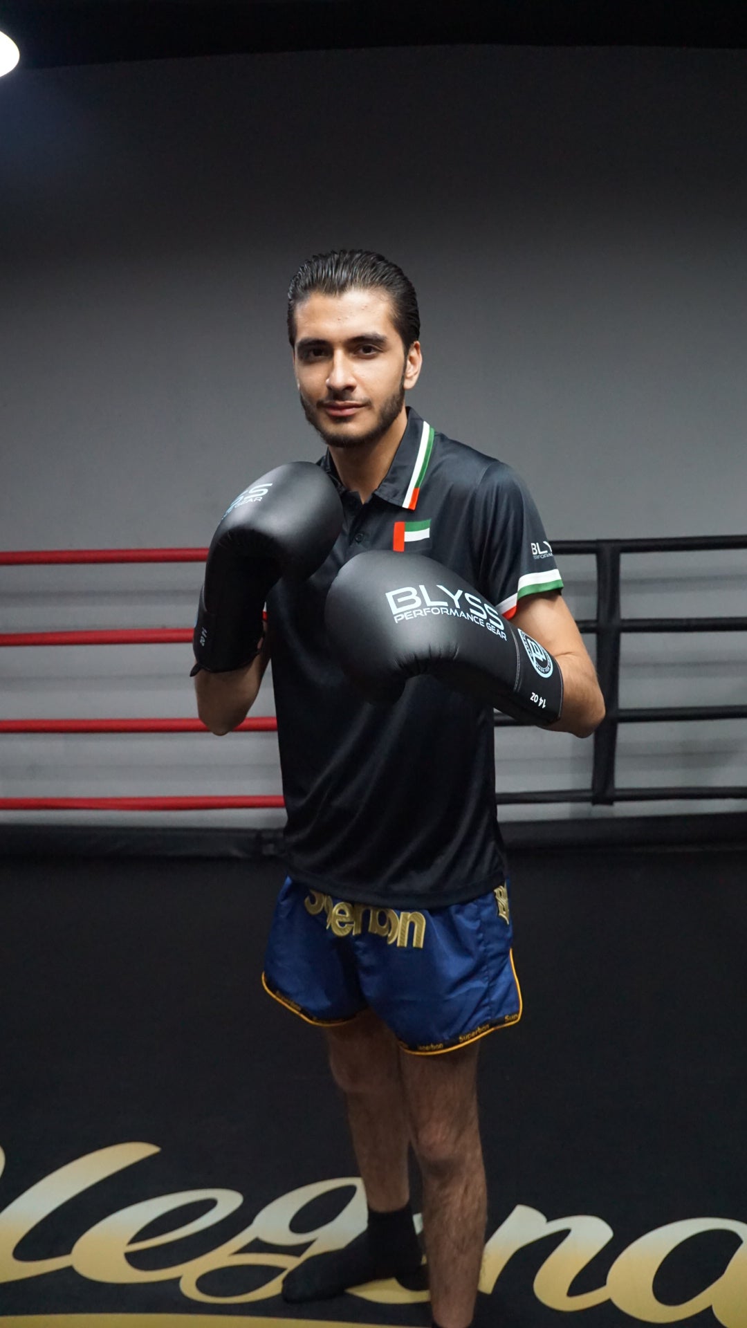 Muay Thai Gloves Blyss Black