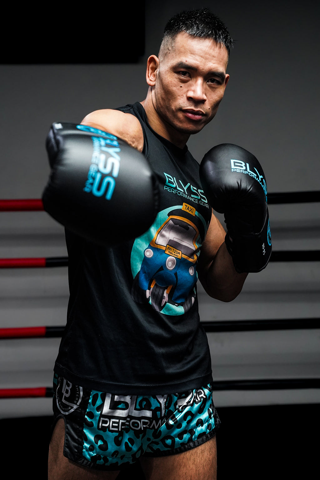 BLYSS Performance Gear Boxing Gloves BTB25 Black Lace Up