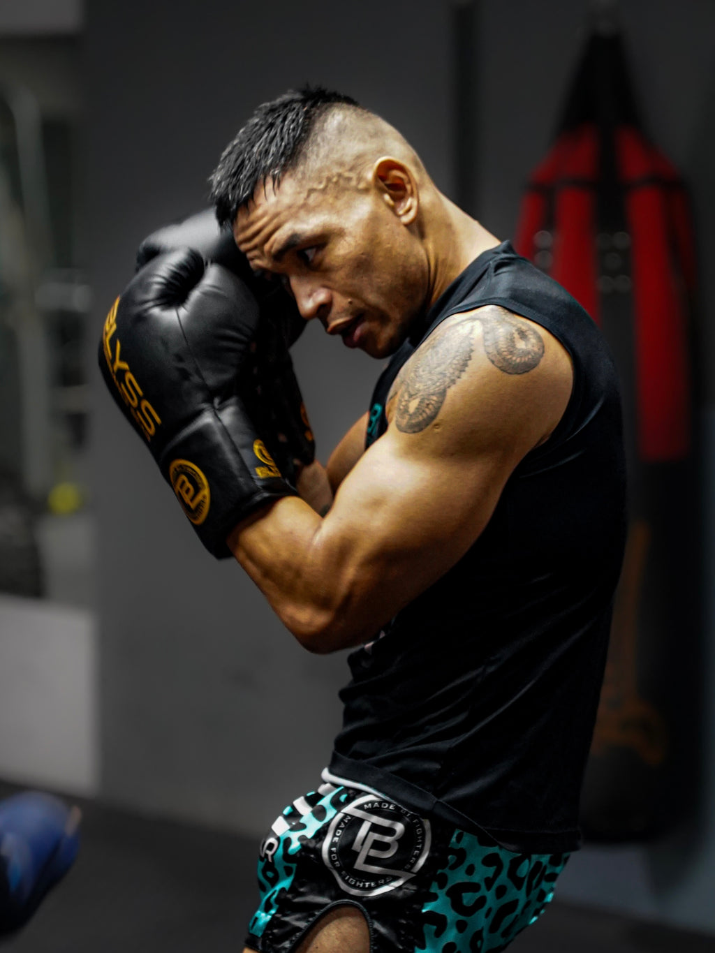 BLYSS Performance Gear Boxing Gloves BTB25 Black Gold Lace Up