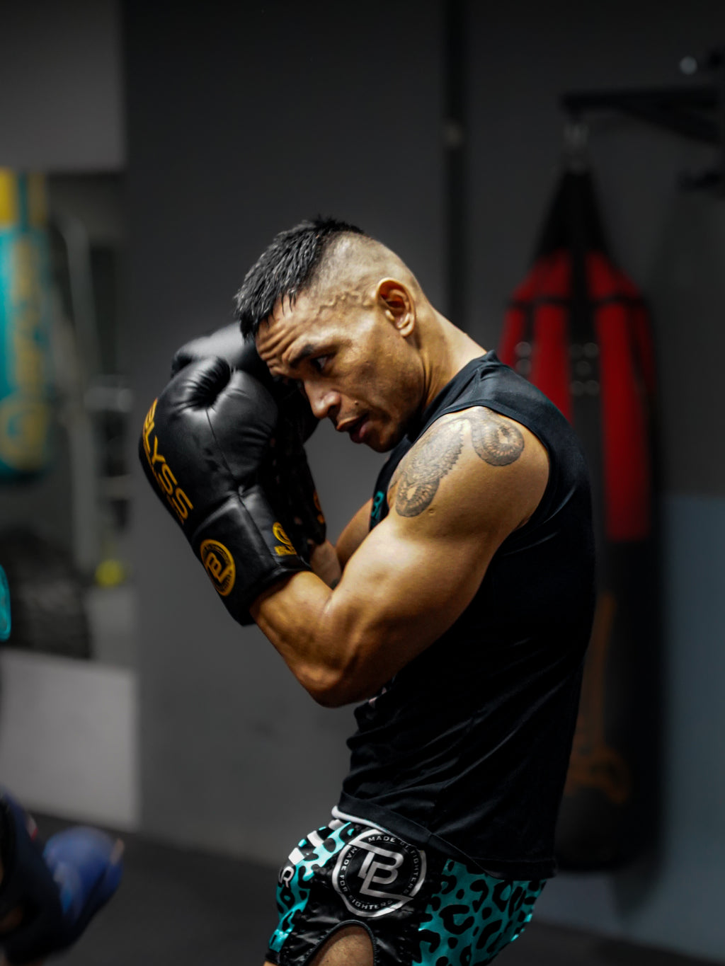BLYSS Performance Gear Boxing Gloves BTB25 Black Gold Lace Up